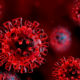 site_gallery_coronavirus-scienza